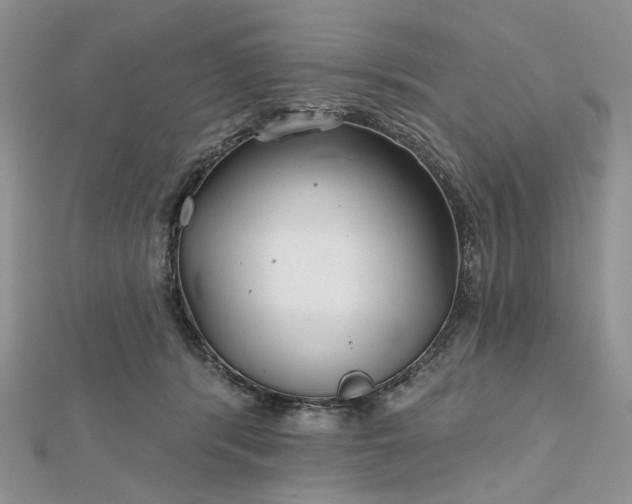 X0000112800416200909041437