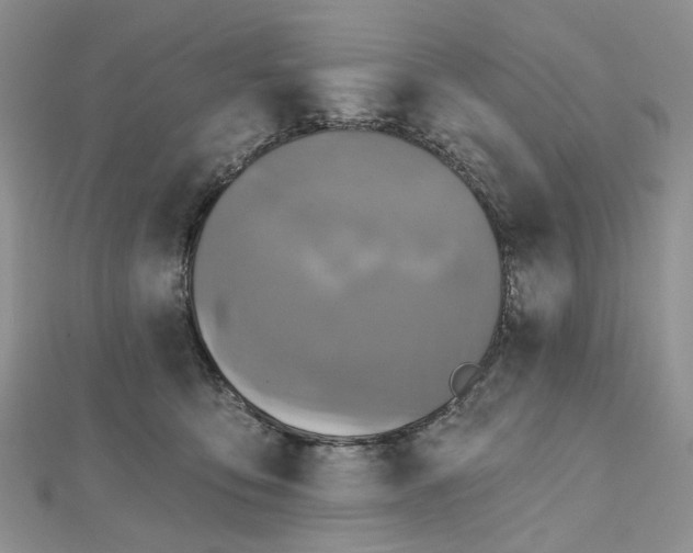 X0000112800419200909041436