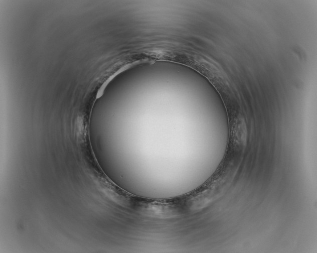 X0000112800420200909041436