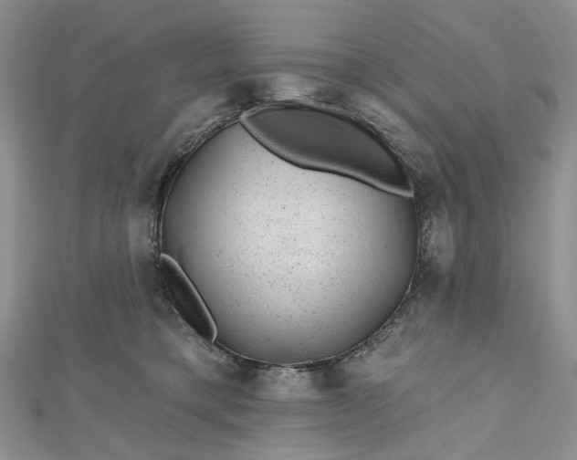 X0000112800421200909041436