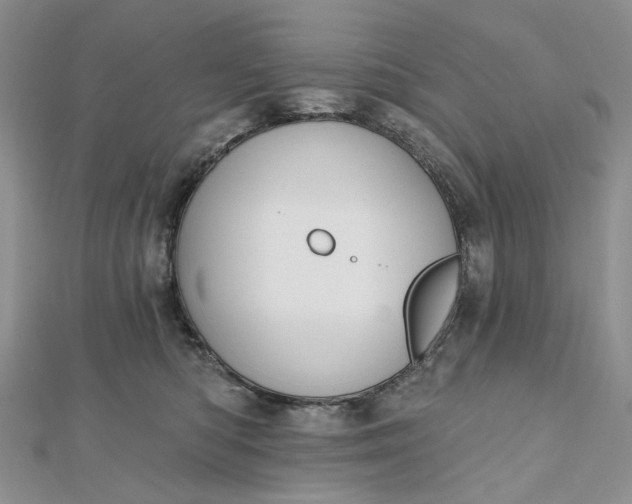 X0000112800422200909041436