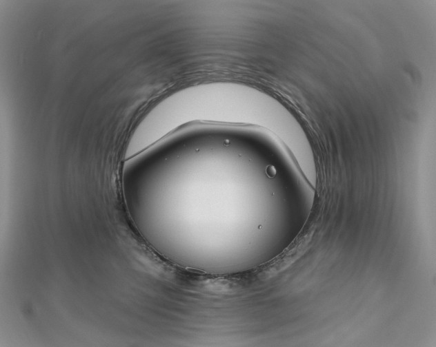 X0000112800423200909041436