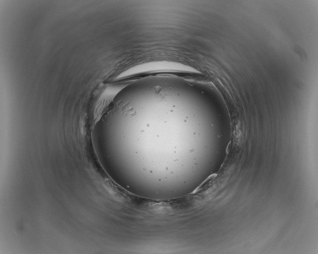 X0000112800424200909041436