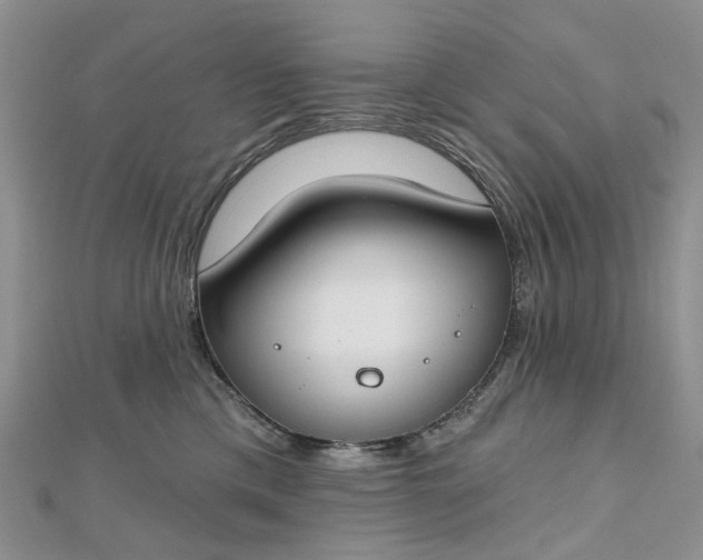 X0000112800425200909041436