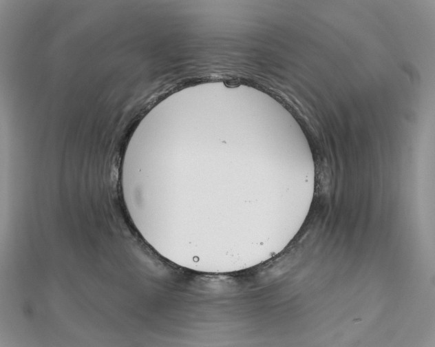 X0000112800427200909041436