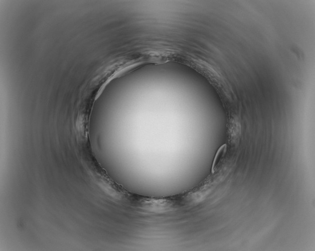 X0000112800428200909041436