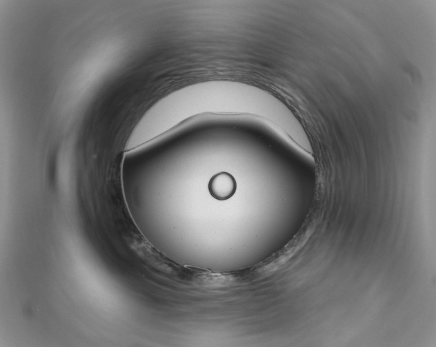 X0000112800429200909041436