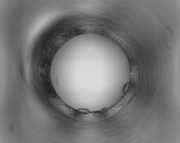 X0000112800430200909041436