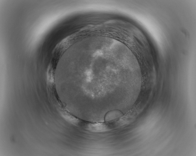 X0000112800431200909041436