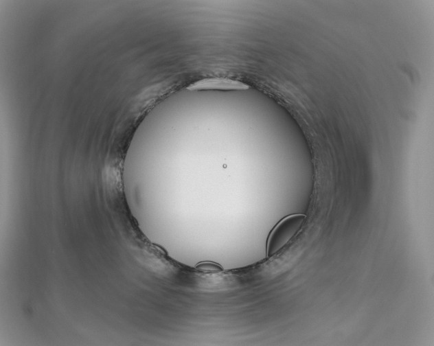 X0000112800432200909041436