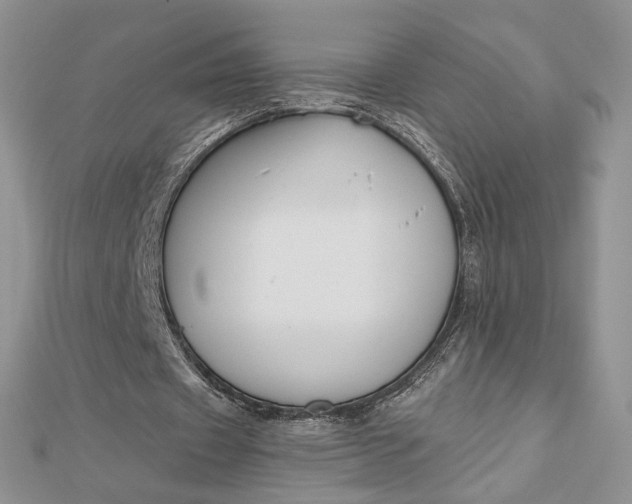 X0000112800433200909041436