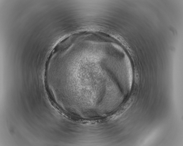 X0000112800434200909041436