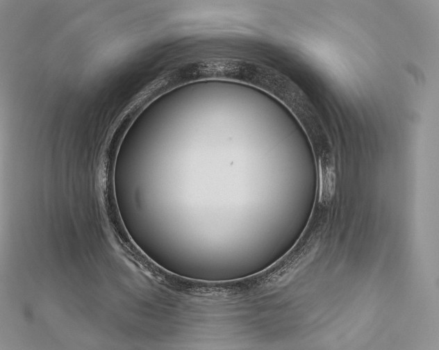 X0000112800435200909041436