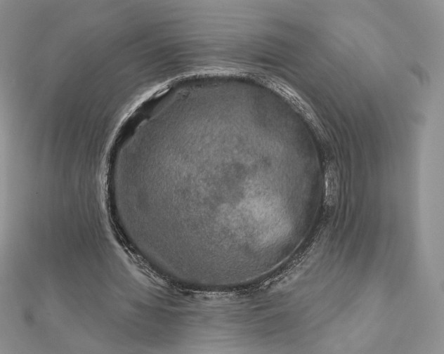 X0000112800436200909041436