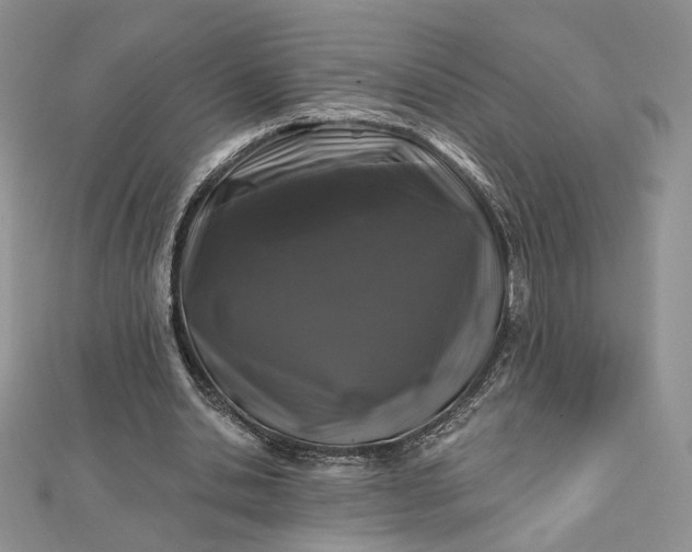 X0000112800438200909041436