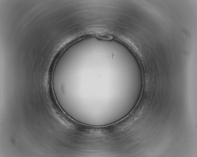 X0000112800439200909041436