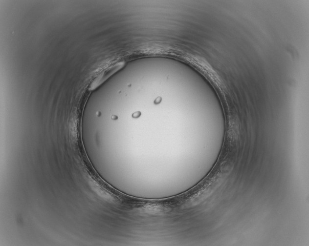 X0000112800441200909041436