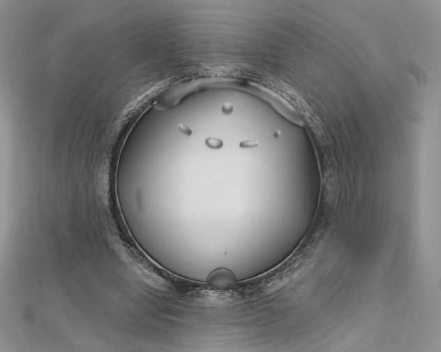 X0000112800442200909041436