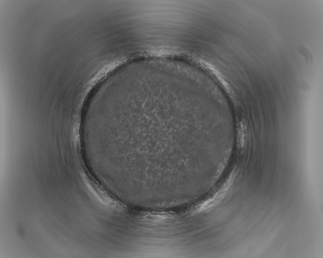 X0000112800443200909041436