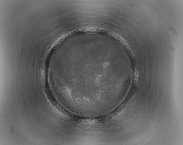 X0000112800444200909041436