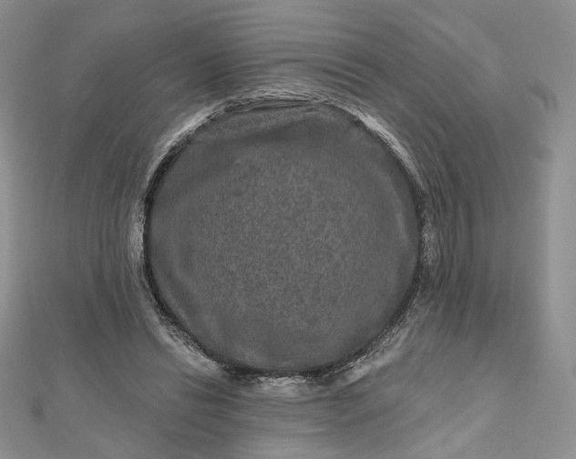 X0000112800446200909041436