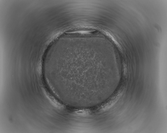 X0000112800447200909041436