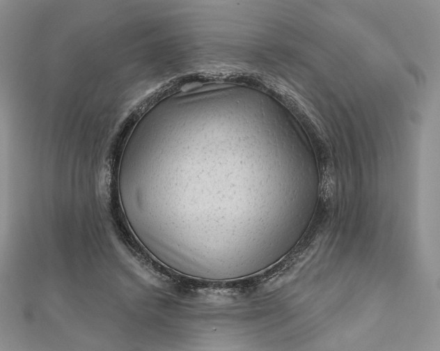 X0000112800448200909041436