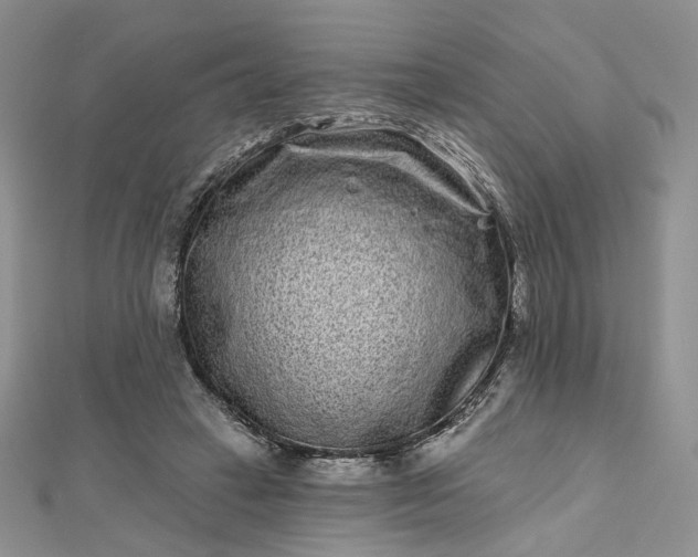 X0000112800449200909041436