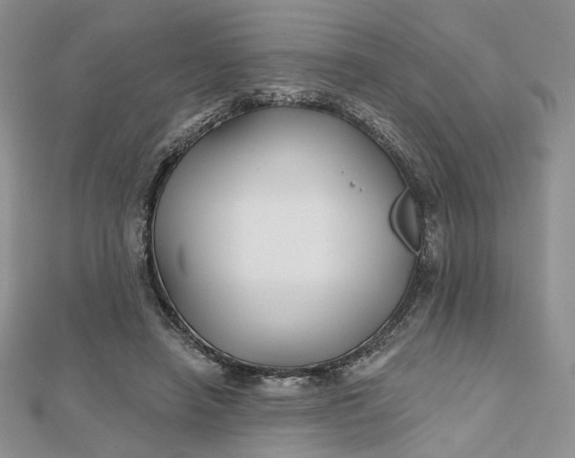 X0000112800450200909041436