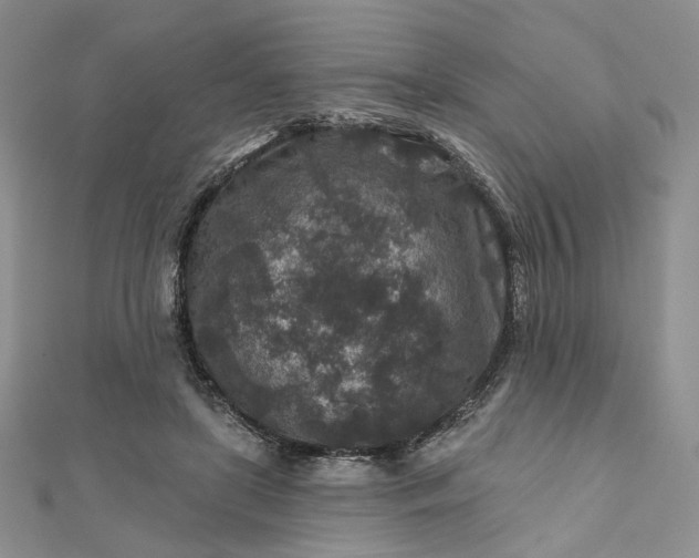 X0000112800451200909041436