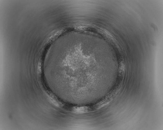 X0000112800452200909041436