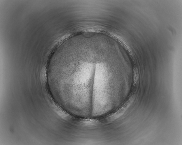 X0000112800453200909041436