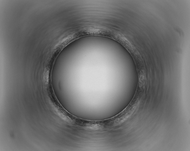 X0000112800454200909041436