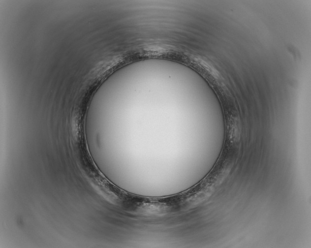 X0000112800455200909041436