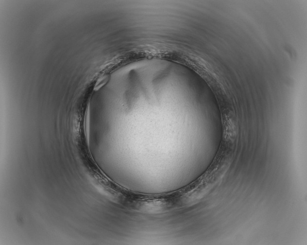 X0000112800456200909041436