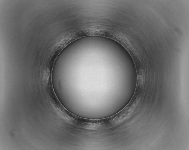 X0000112800458200909041436