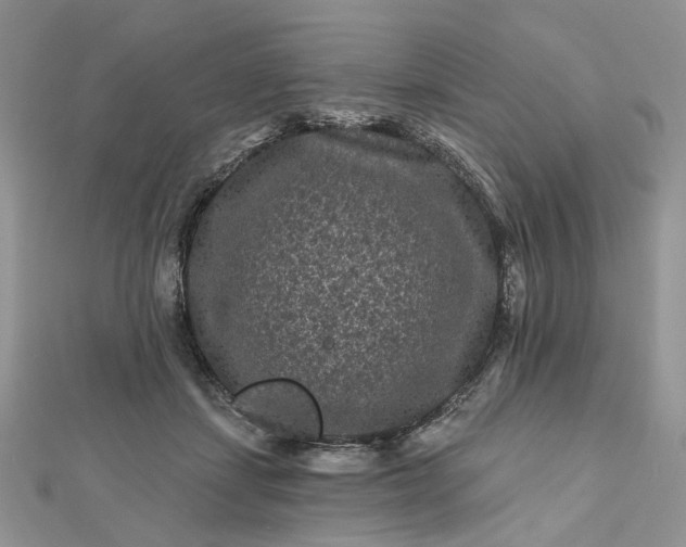 X0000112800459200909041436