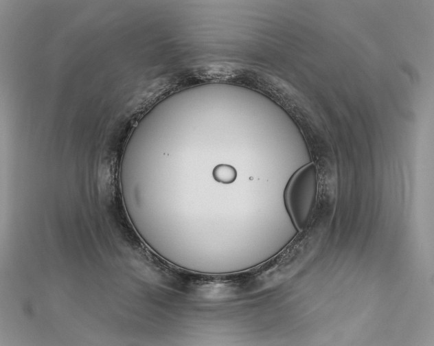 X0000112800460200909041436