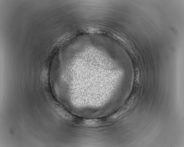 X0000112800461200909041436