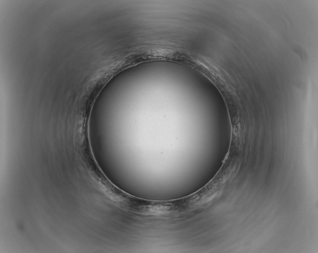 X0000112800462200909041436