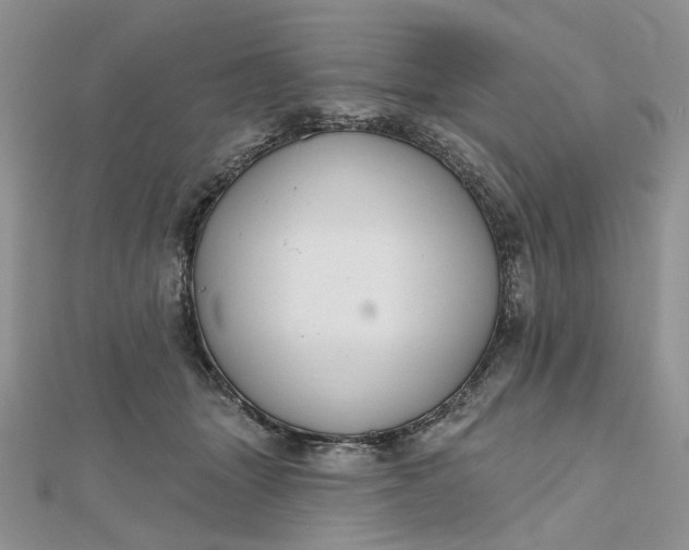 X0000112800463200909041436