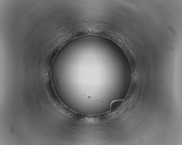 X0000112800464200909041436