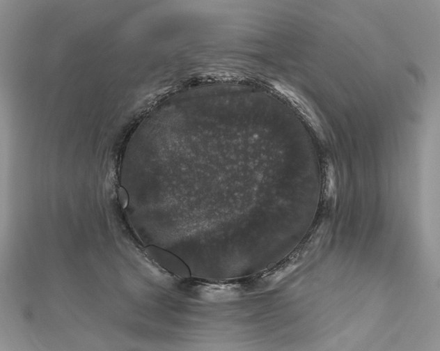 X0000112800465200909041436