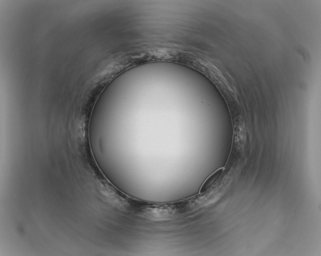 X0000112800466200909041436