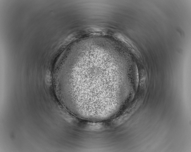 X0000112800469200909041436