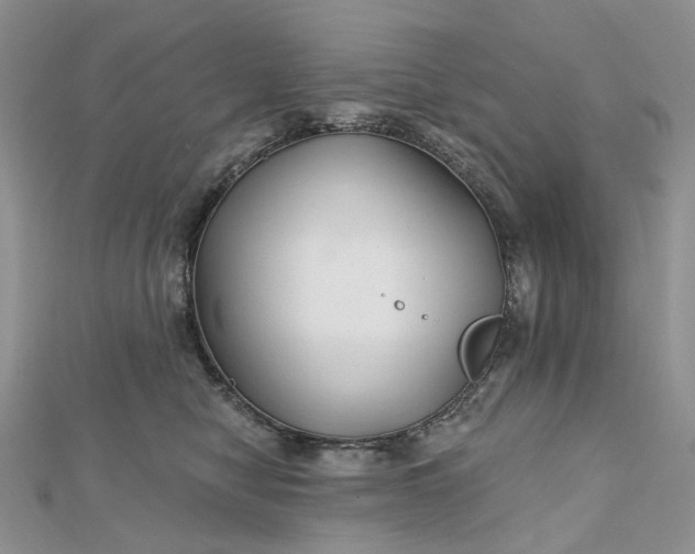 X0000112800470200909041436