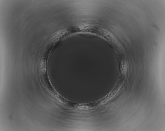 X0000112800471200909041436