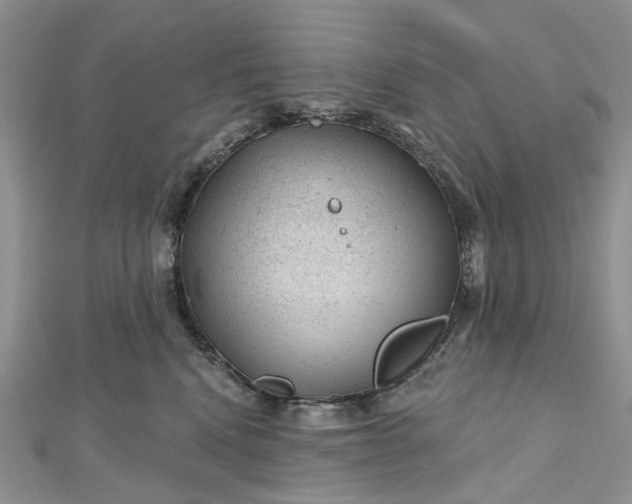 X0000112800472200909041436