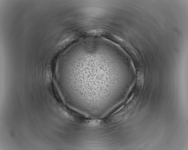 X0000112800474200909041436