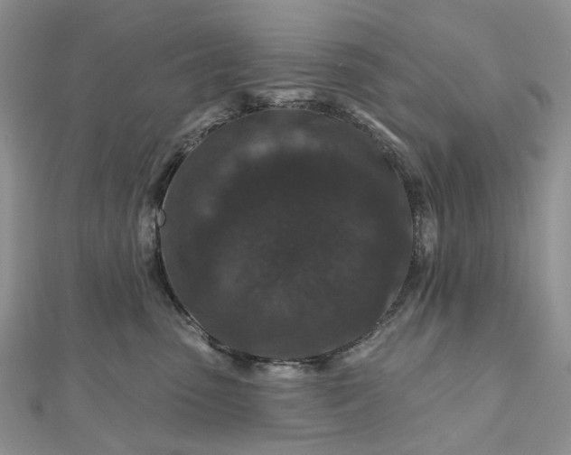 X0000112800475200909041436